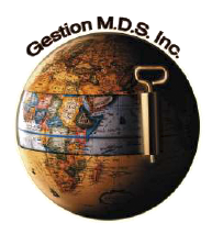 Logo MDS Group Management Development Systems - Formación ejecutiva y desarrollo organizacional